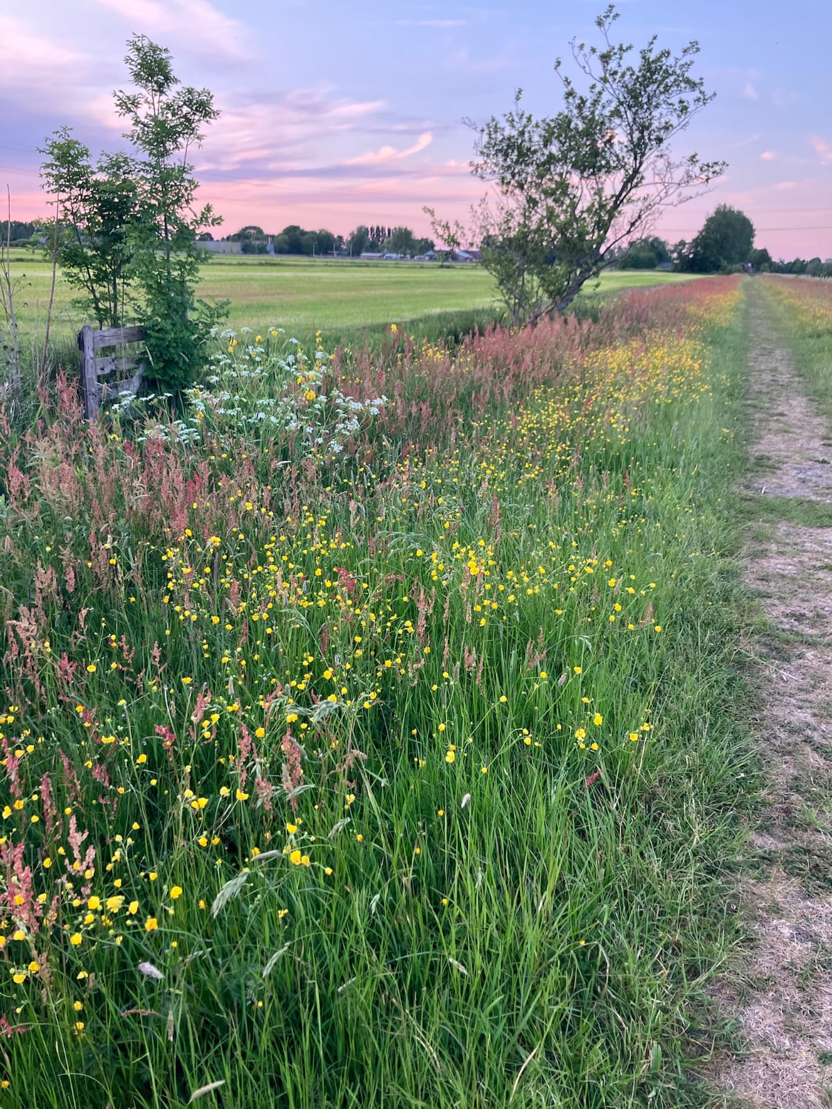 Ontdek de Vechtstreek